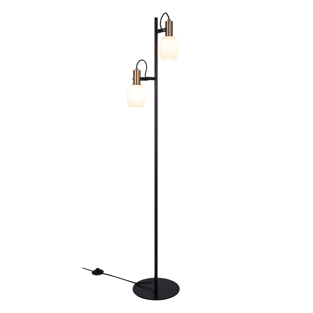 Nordlux Arild | Floor lamp | Black Floor Light 2312324003
