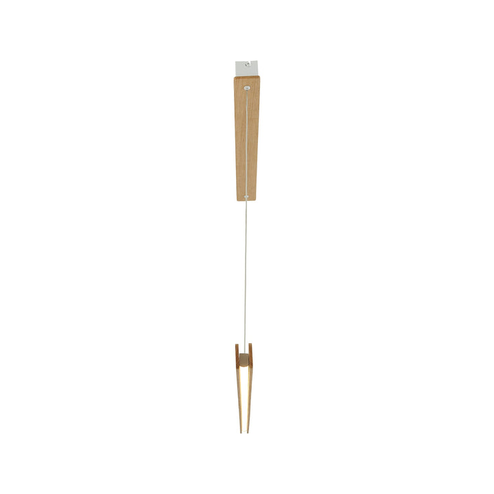 Ilgas | Pendant | Nature