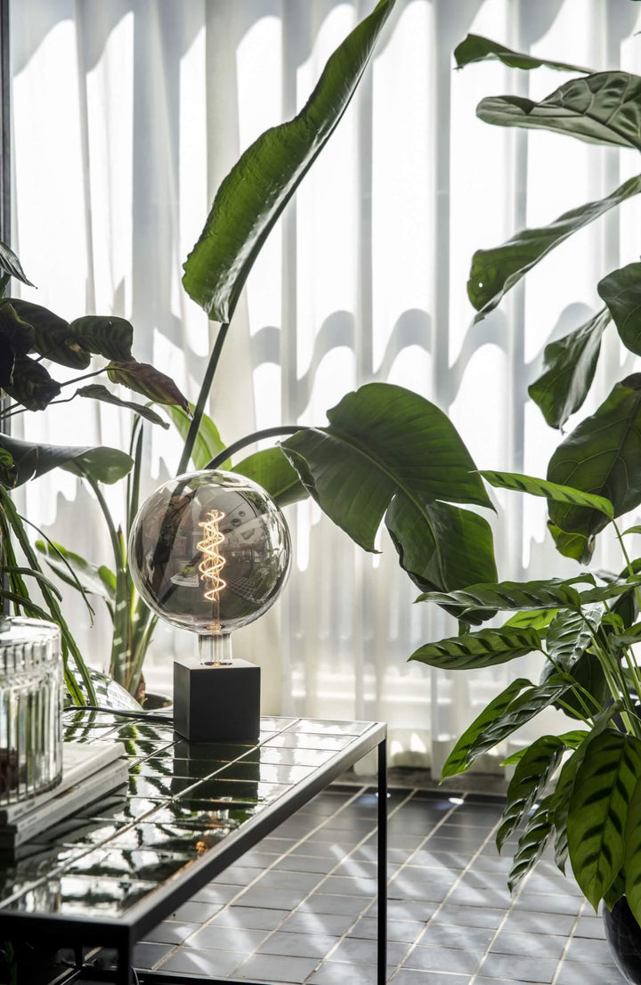 Calex XXL Kalmar E27 5W LED Dimmable - Prisma Lighting