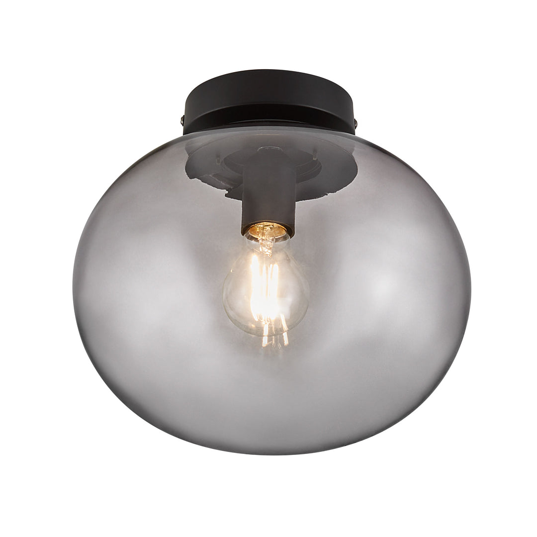 Alton Ceiling Light Black