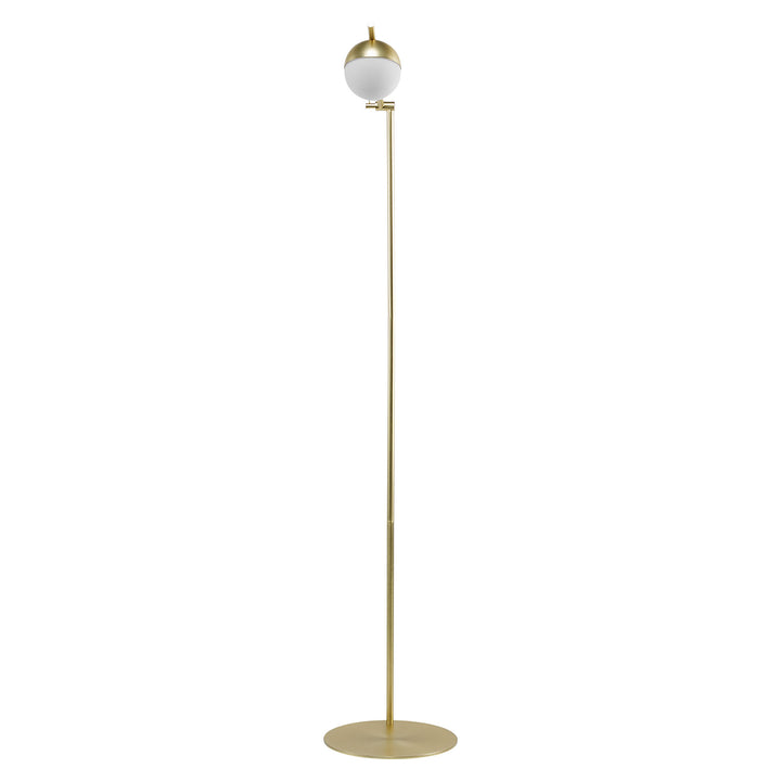 Contina Floor Light Brass