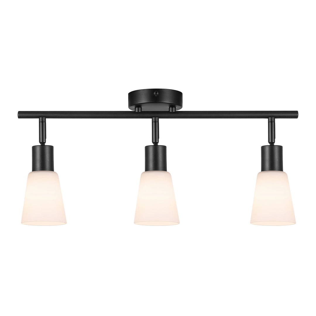 Cole | 3-Rail | Black/Opal SpotLight Light Black