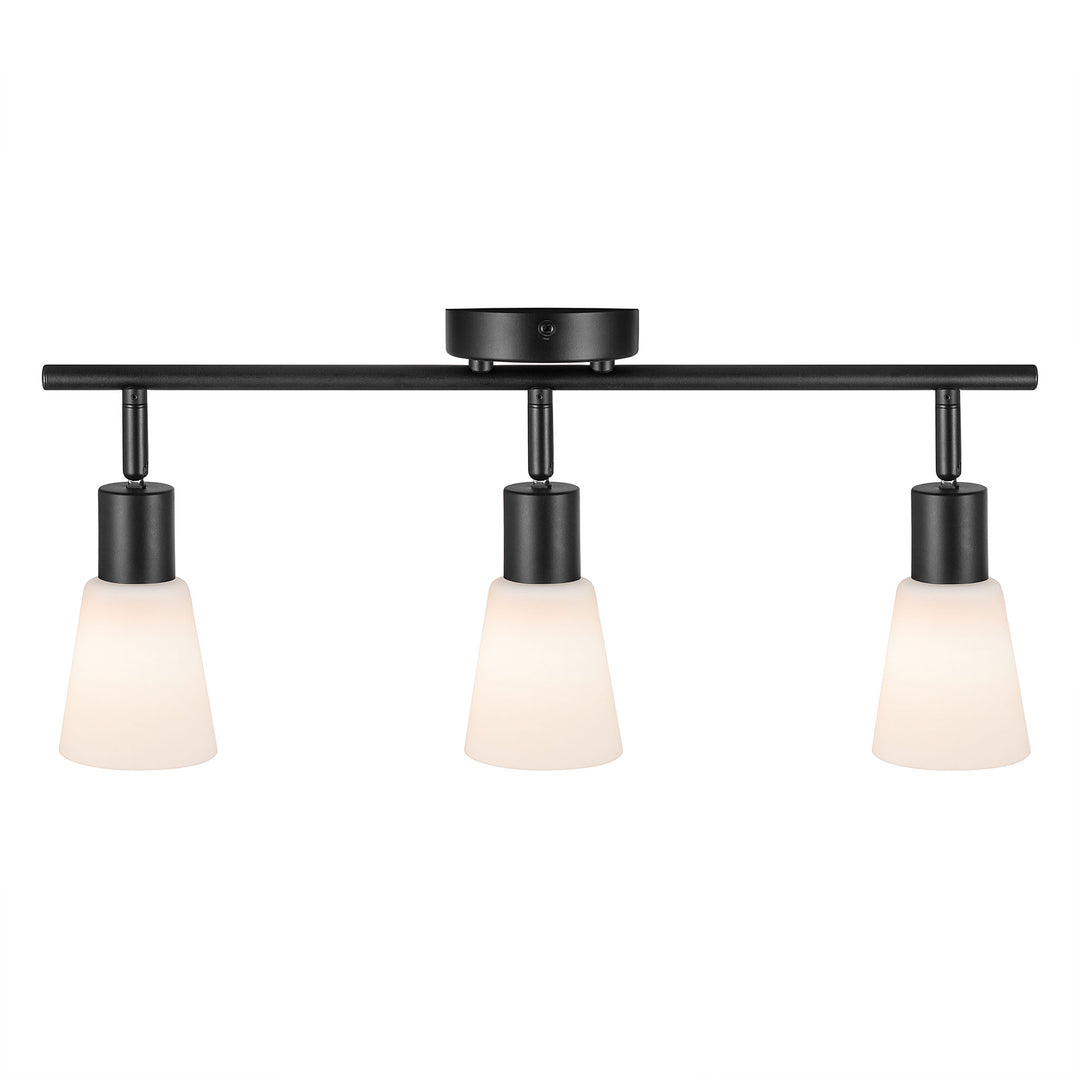 Cole | 3-Rail | Black/Opal SpotLight Light Black