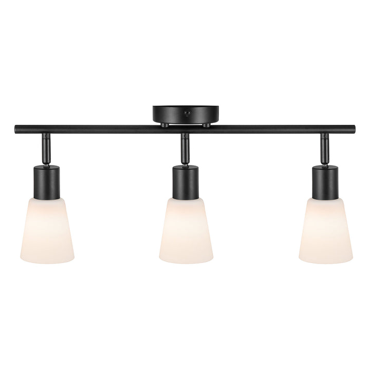 Cole | 3-Rail | Black/Opal SpotLight Light Black