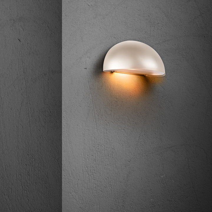 Scorpius  | Wall | Sand Wall Light Sanded