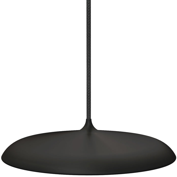 Artist 25 Pendant Light Black