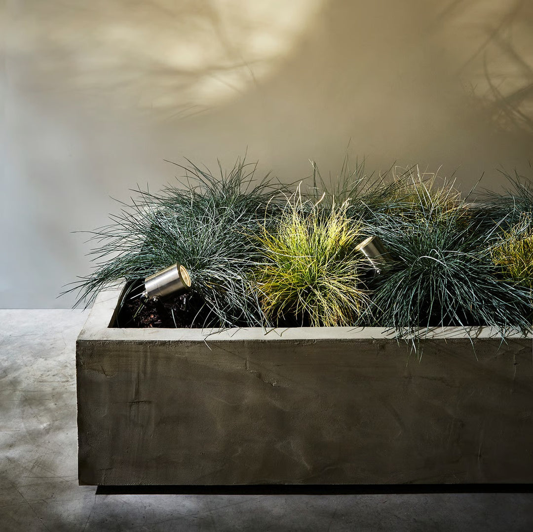 Skye Spike Spot illuminating low planting, creating focused accent lighting outdoors