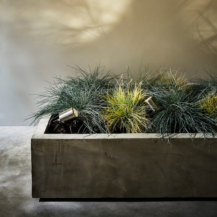 Skye Spike Spot illuminating low planting, creating focused accent lighting outdoors