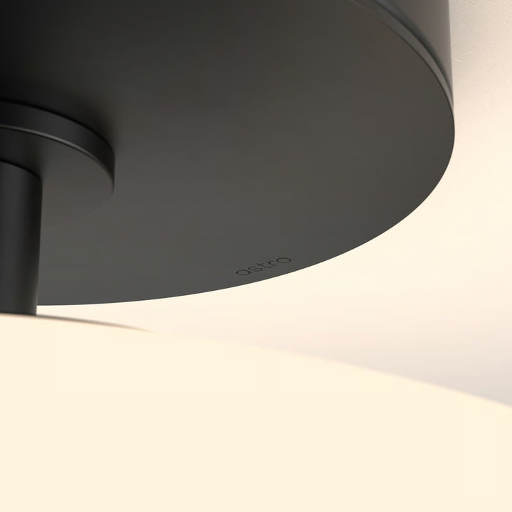 Zeppo Ceiling | Ceiling Light