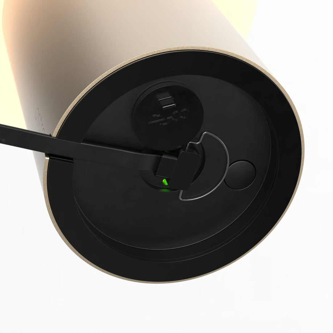 Zeppo Portable | Portable Light
