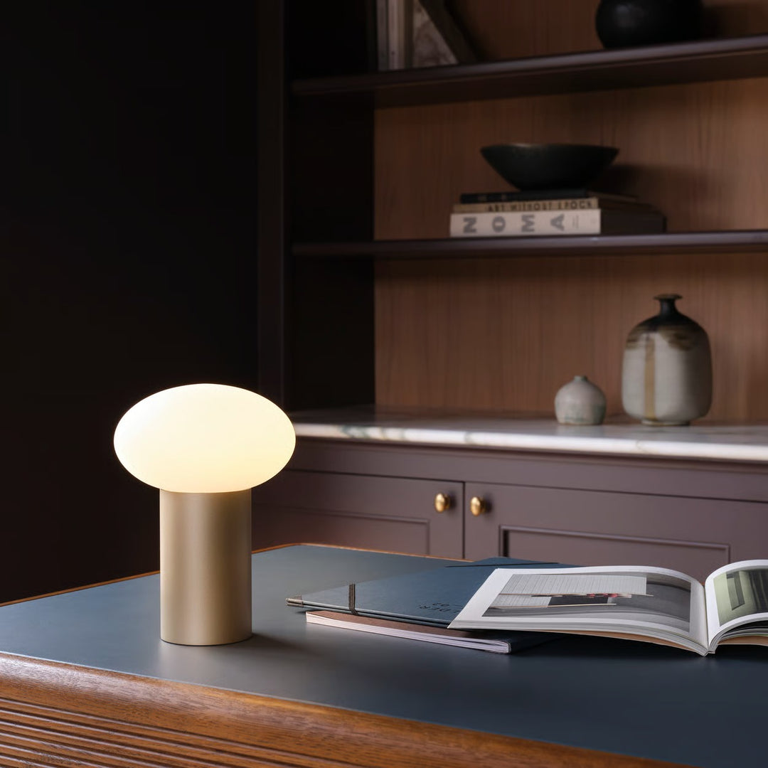 Zeppo Portable | Portable Light