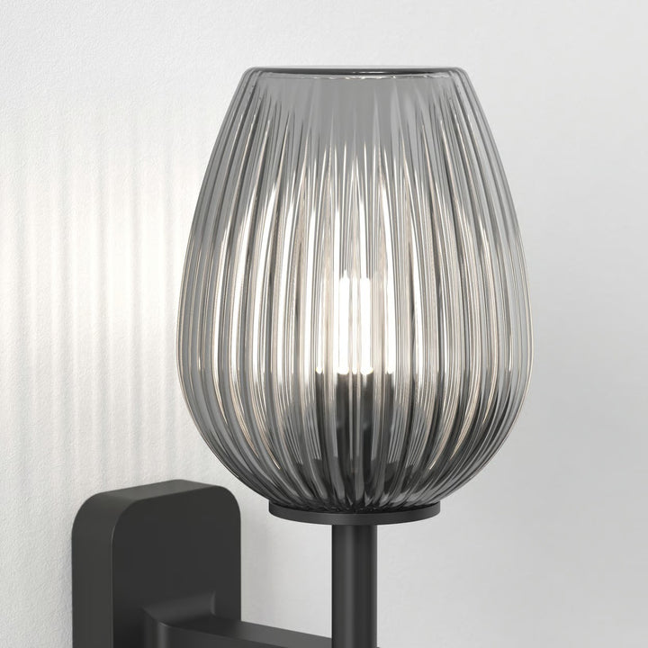 Tacoma Single | Wall Light