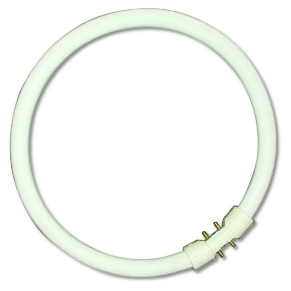 55W Cool White T5 Triphosphor Fluorescent Circular Tube | 16000 Hour
